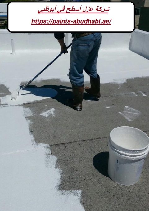 شركة عزل أسطح في أبوظبي