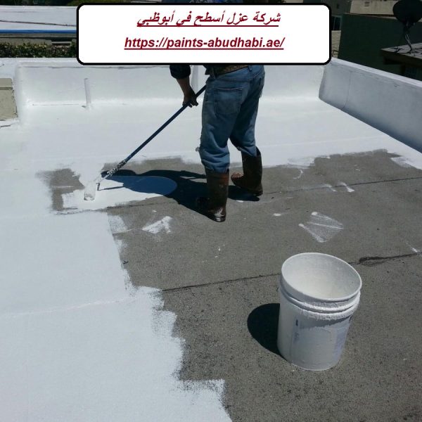 شركة عزل أسطح في أبوظبي