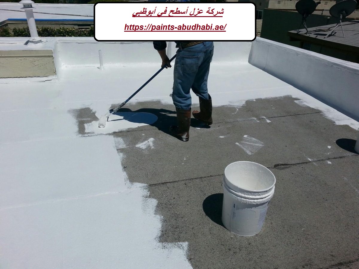 شركة عزل أسطح في أبوظبي